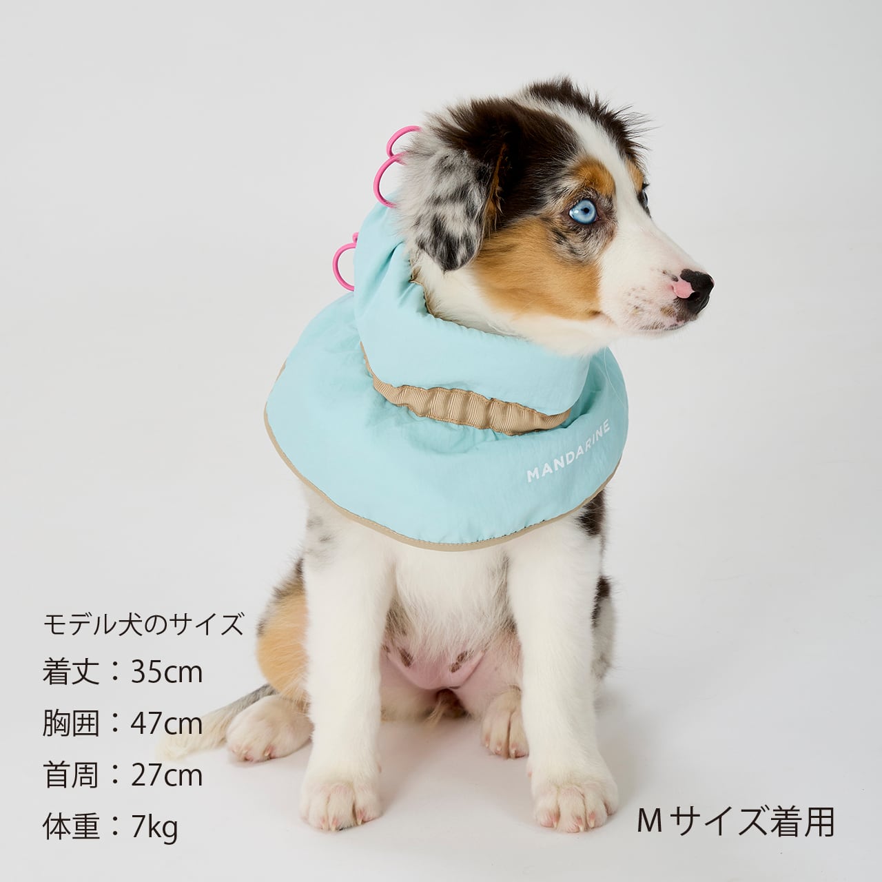 MANDARINE BROTHERS COOLING COLLAR