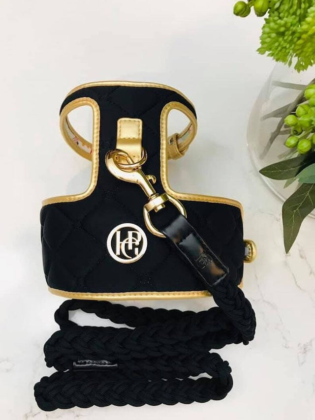 HGP Dog Harness