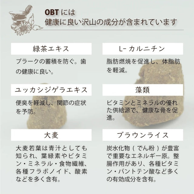 OVEN-BAKED TRADITION SEMI MOIST ADULT FISH DOG FOOD