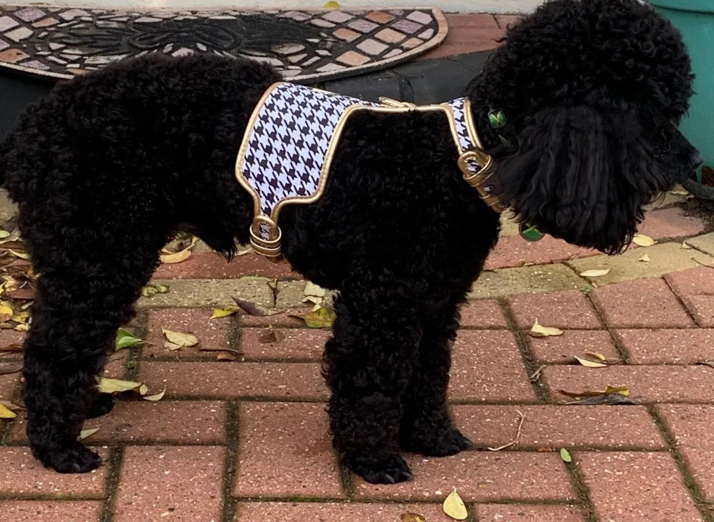 HGP Dog Harness-Houndstooth