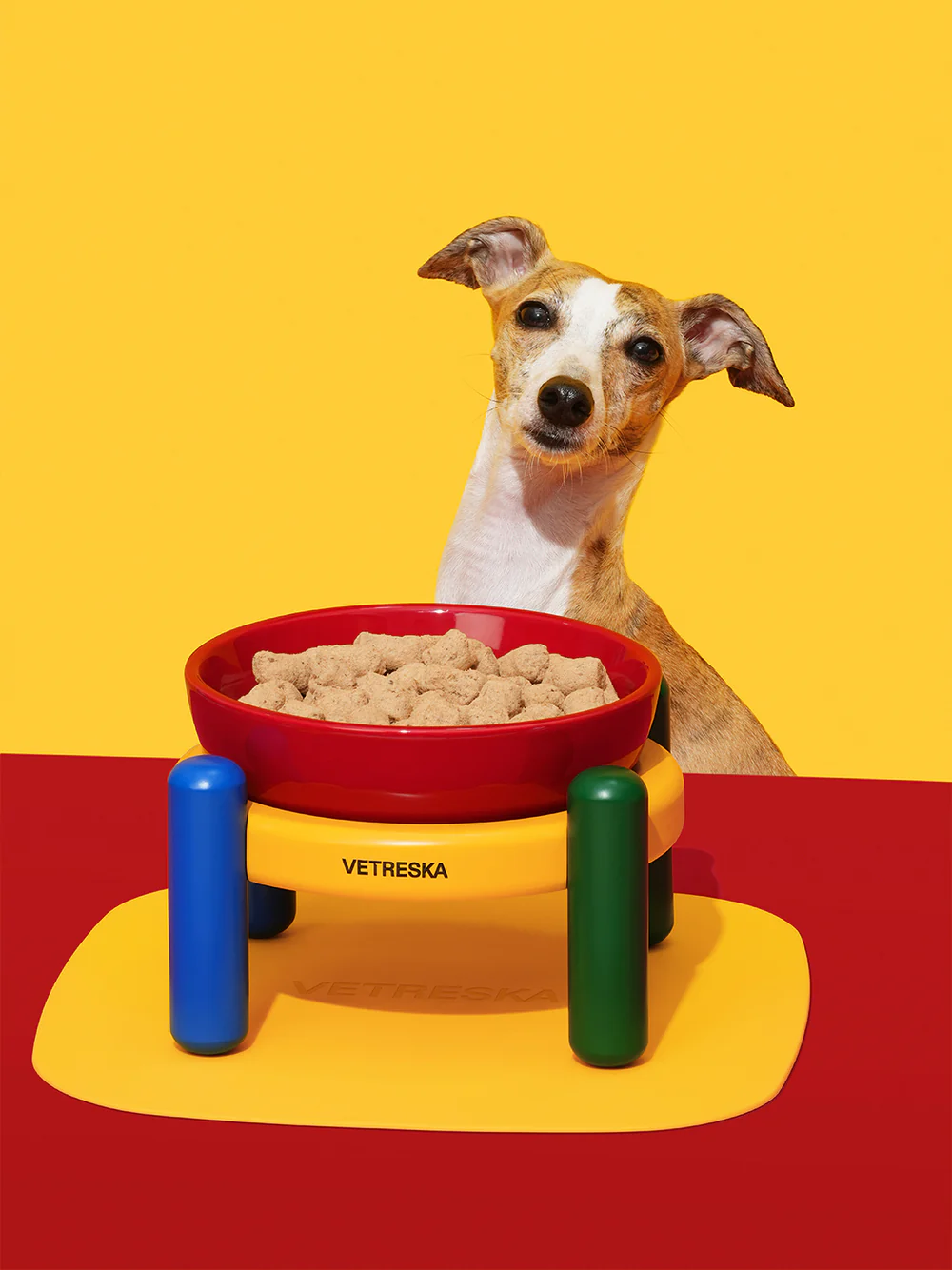 VETRESKA CHROMA PET BOWL & MAT SET