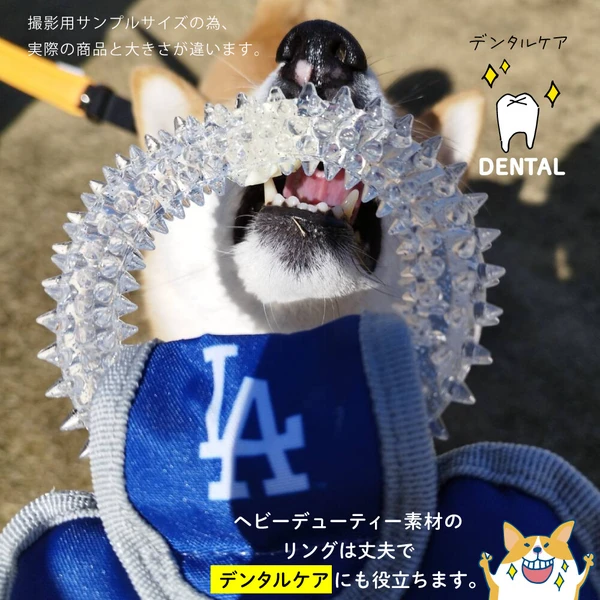 MLB Licensed Shohei Ohtani Los Angeles Dodgers Dental Tag Toy