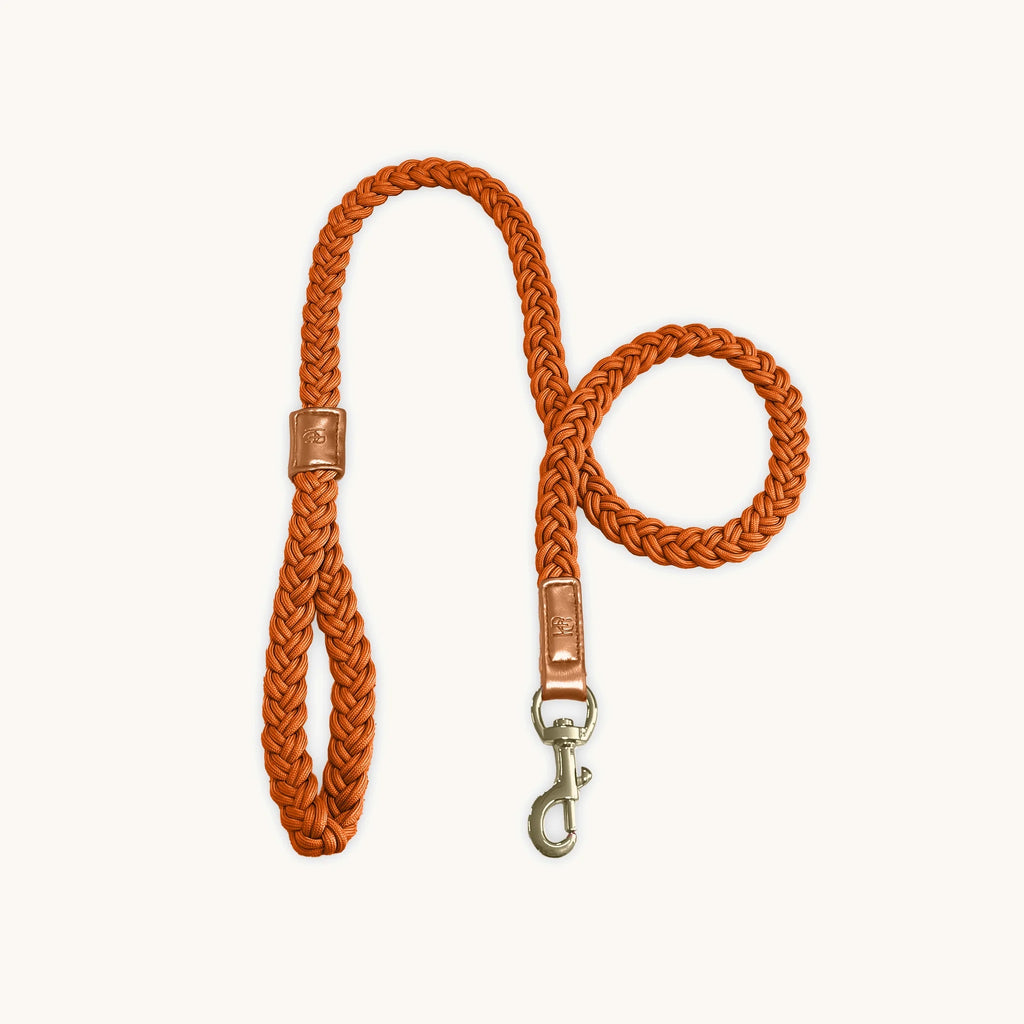 HGP Dog Leash Plaited