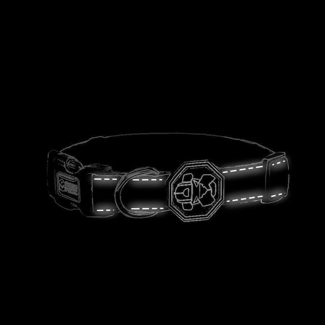 FRESH PAWZ-MONOGRAM HYPE COLLAR