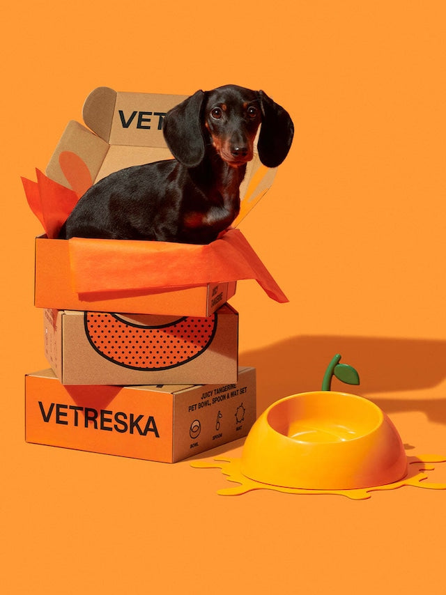 VETRESKA JUICY TANGERINE PET BOWL SET