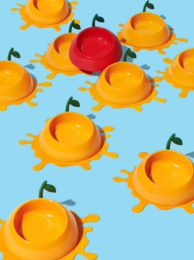 VETRESKA JUICY TANGERINE PET BOWL SET