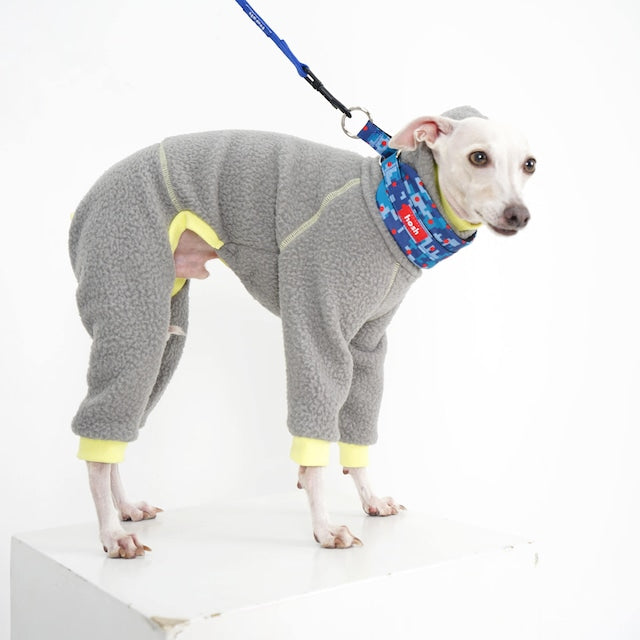 hosh Camo Collar Red-Dot