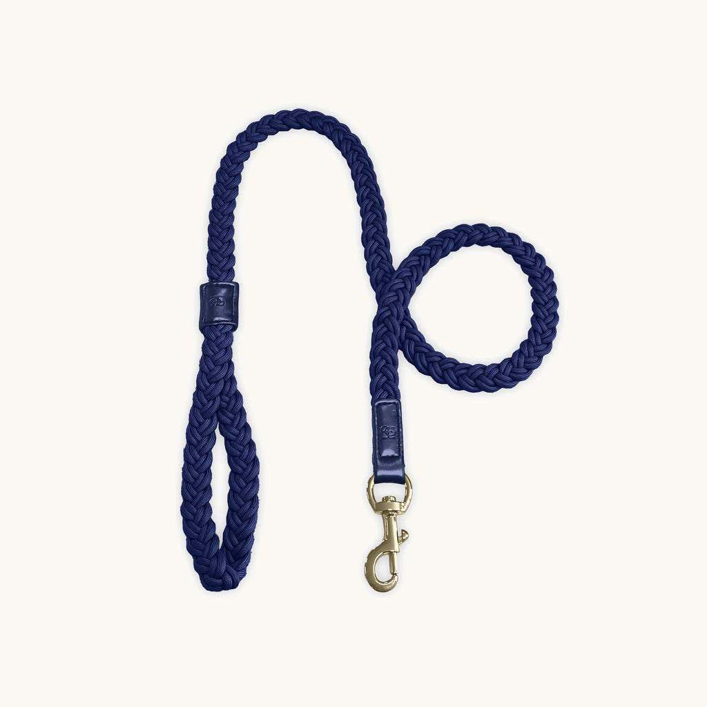 HGP Dog Leash Plaited