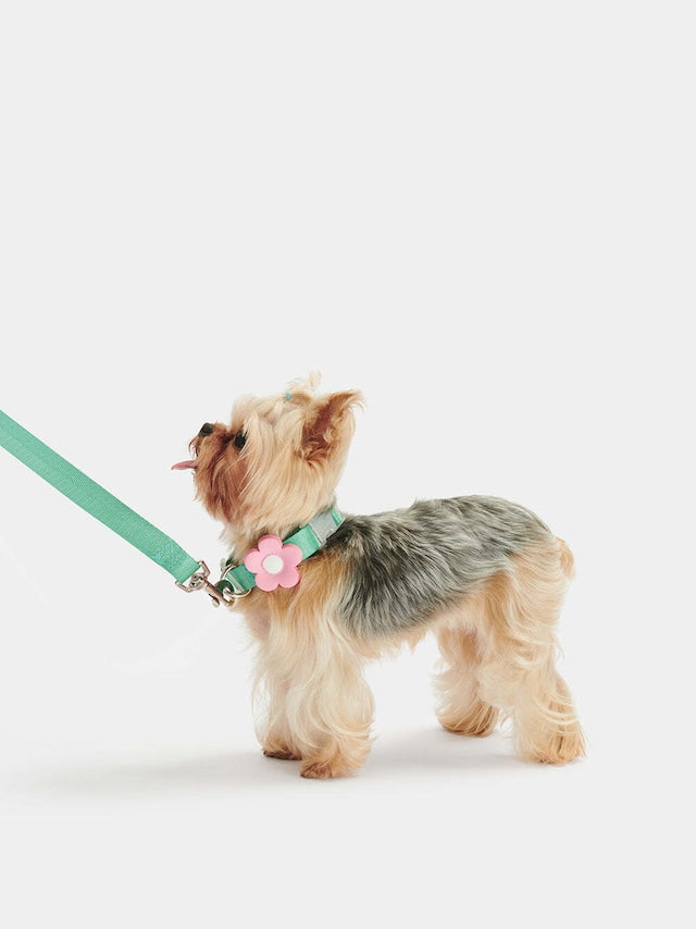 VETRESKA FLORA PET HARNESS BACKPACK WITH LEASH