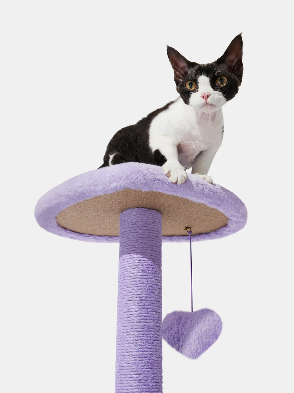 VETRESKA HEARTPURRPLE CAT CLIMBER - 2 PLATFORMS