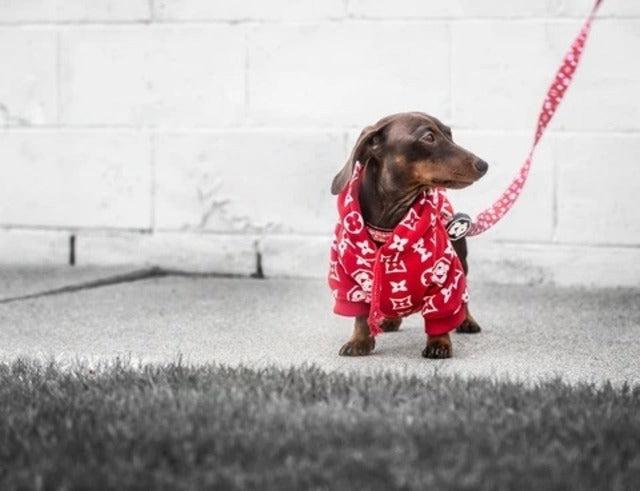 FRESH PAWZ-MONOGRAM HYPE HOODIE