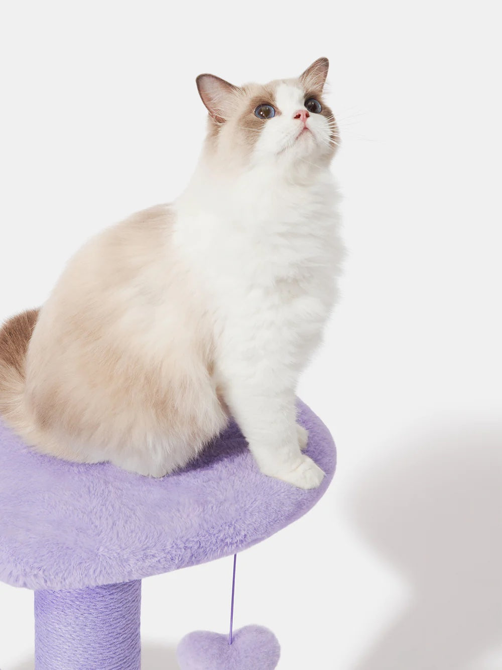 VETRESKA HEARTPURRPLE CAT CLIMBER - 2 PLATFORMS
