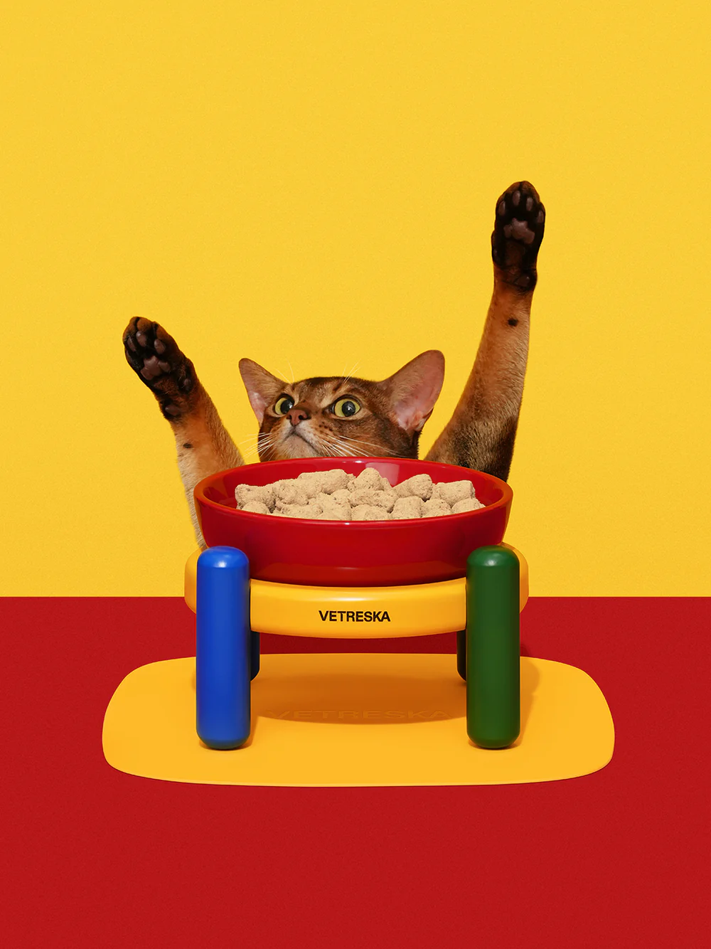 VETRESKA CHROMA PET BOWL & MAT SET