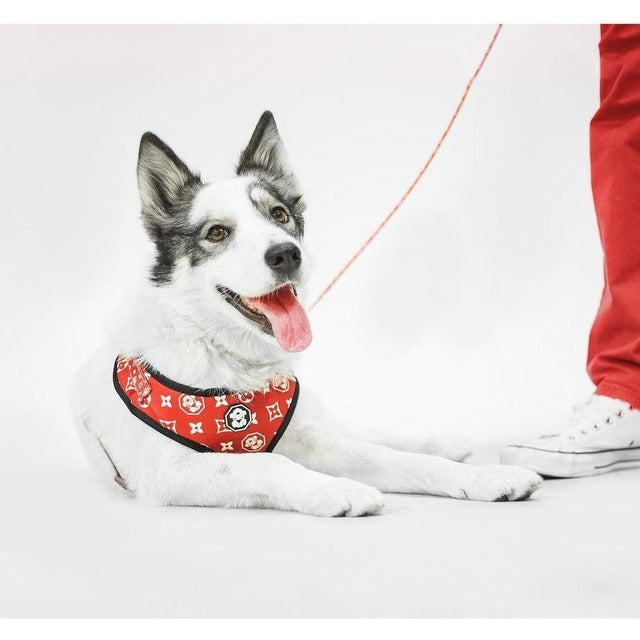 FRESH PAWZ-MONOGRAM HYPE ADJUSTABLE MESH HARNESS