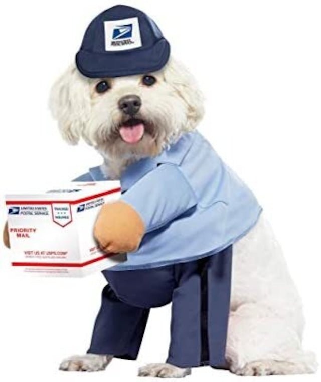 USPS Delivery Dog Costume