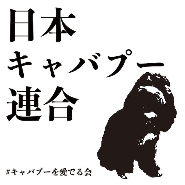 TEAM CAVAPOO STICKER