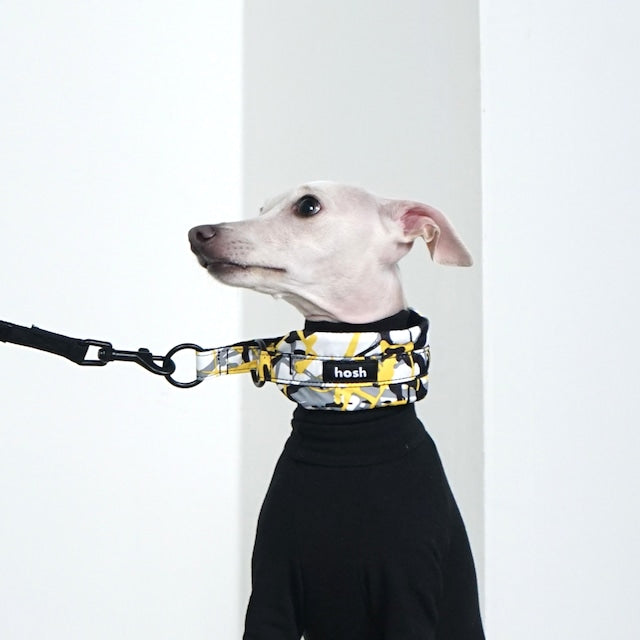 hosh Paint Collar Yellow