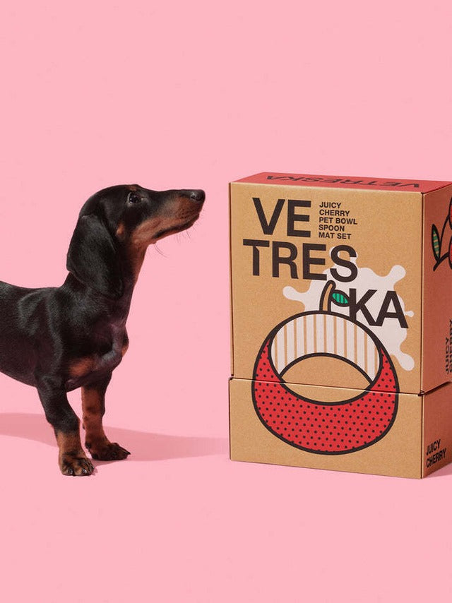VETRESKA JUICY CHERRY PET BOWL SET
