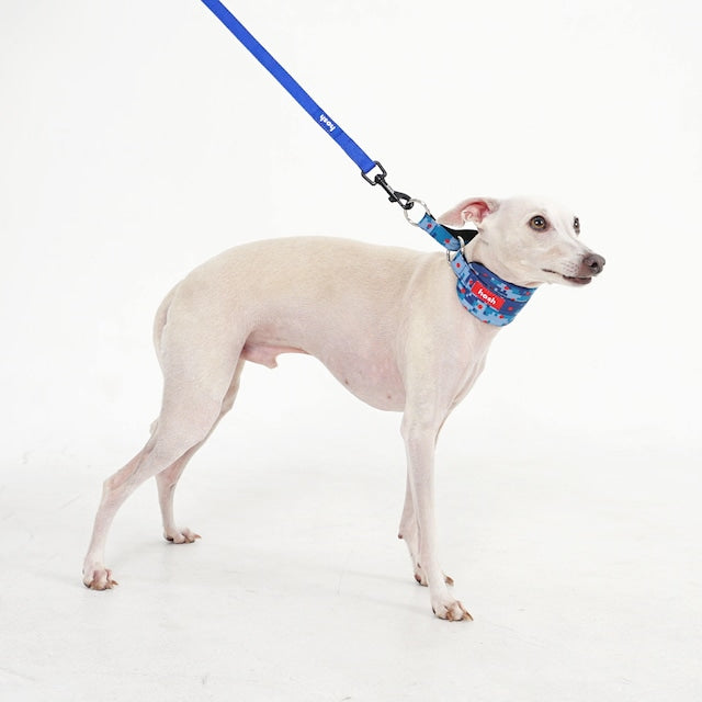 hosh Camo Collar Red-Dot