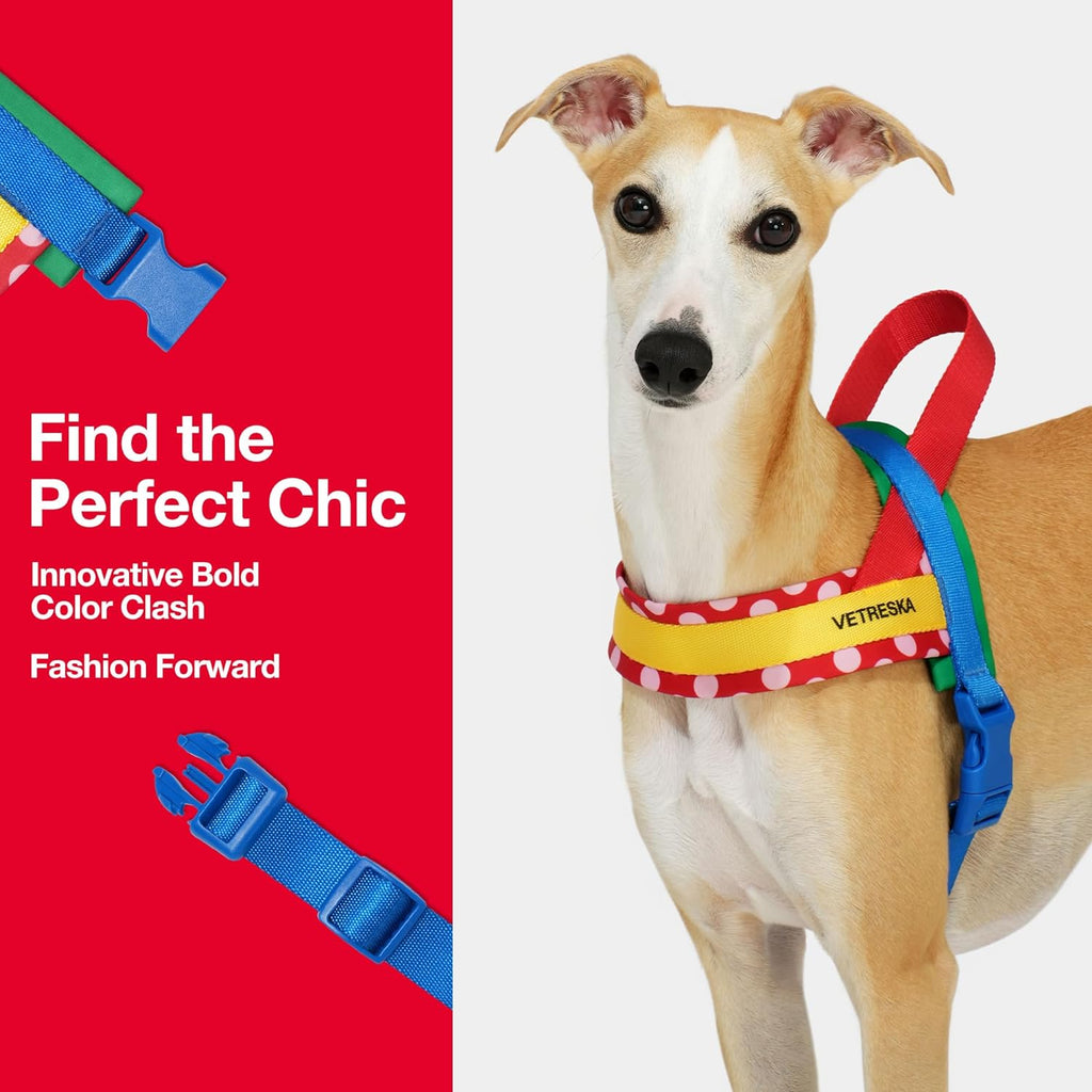 VETRESKA CHROMA PET HARNESS&LEASH SET