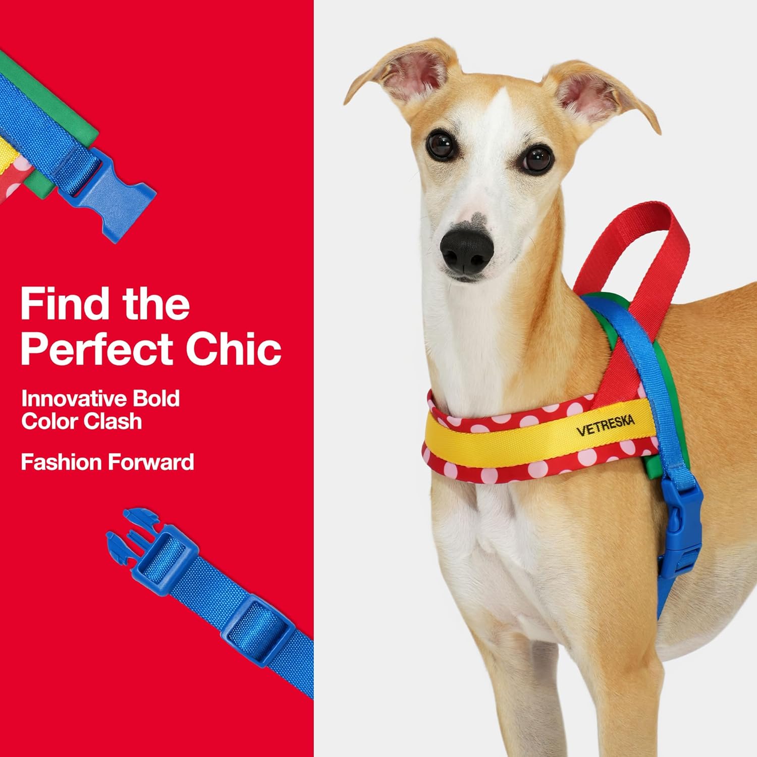 VETRESKA CHROMA PET HARNESS&LEASH SET