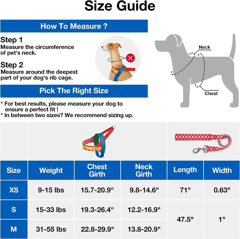 VETRESKA CHROMA PET HARNESS&LEASH SET