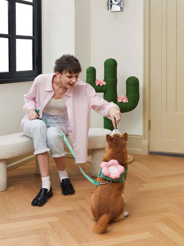 VETRESKA FLORA PET HARNESS BACKPACK WITH LEASH