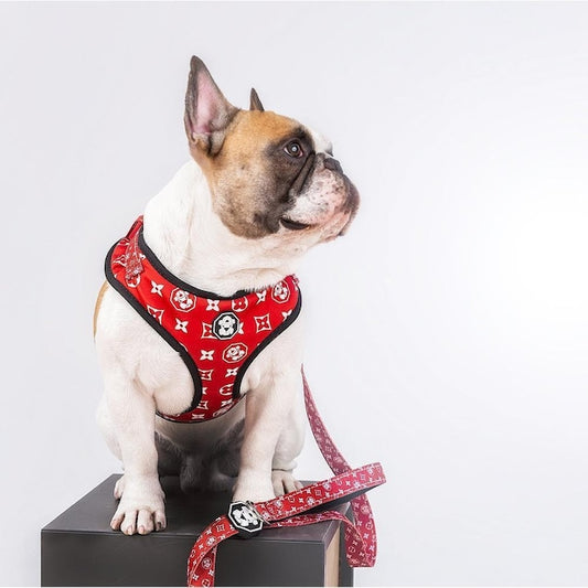 FRESH PAWZ-MONOGRAM HYPE ADJUSTABLE MESH HARNESS