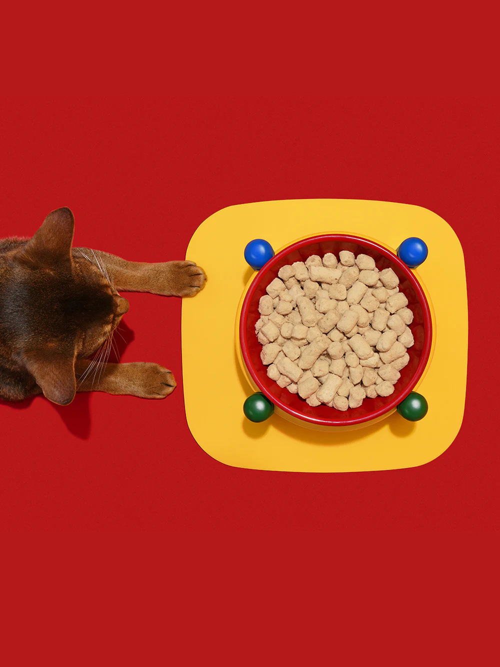 VETRESKA CHROMA PET BOWL & MAT SET