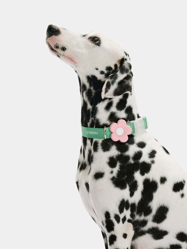 VETRESKA FLORA PET HARNESS BACKPACK WITH LEASH