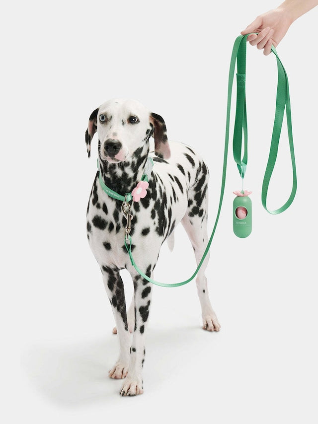 VETRESKA FLORA PET HARNESS BACKPACK WITH LEASH