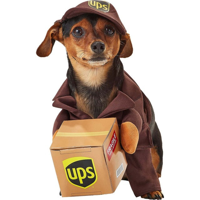 UPS Delivery Dog Costume