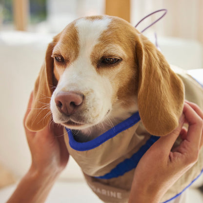 MANDARINE BROTHERS COOLING COLLAR