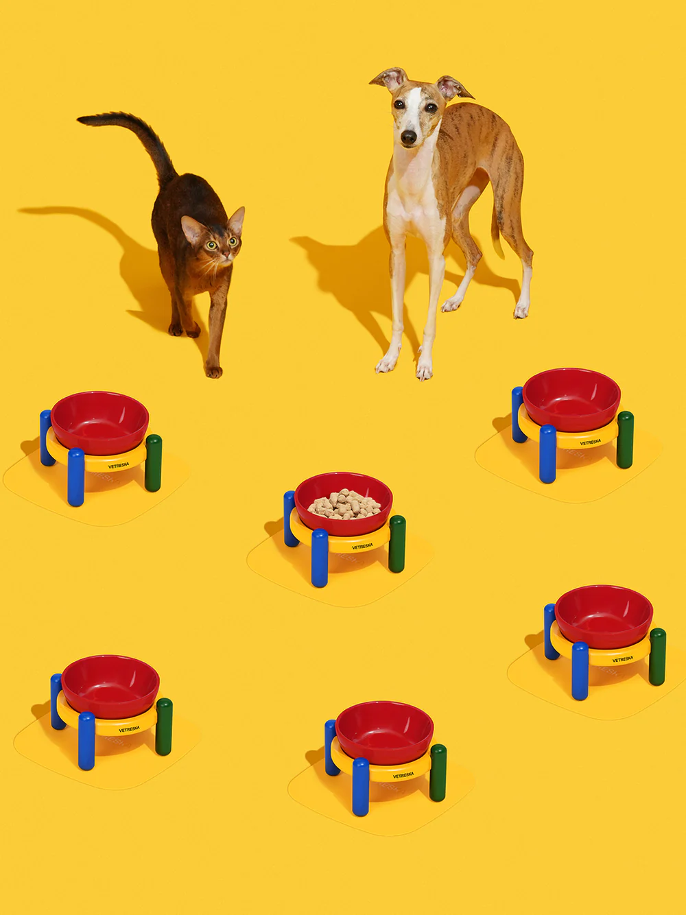 VETRESKA CHROMA PET BOWL & MAT SET