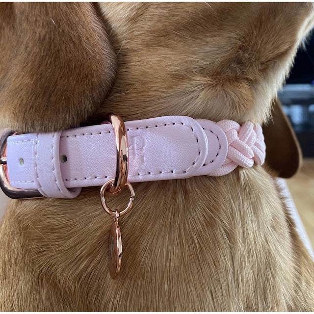 HGP Dog Collar Plaited