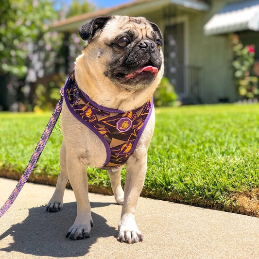 Los Angeles Dodgers Fresh Pawz Adjustable Mesh Pet Harness - Royal