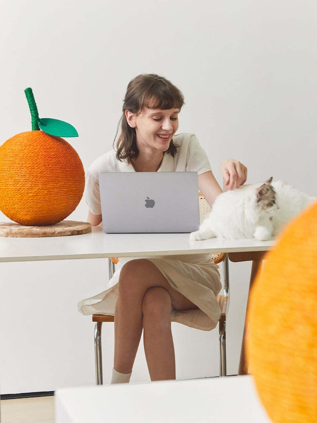 VETRESKA TANGERINE CAT SCRATCHING BALL