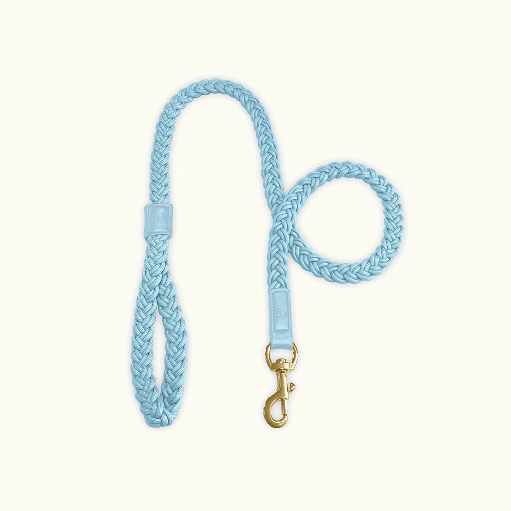 HGP Dog Leash Plaited