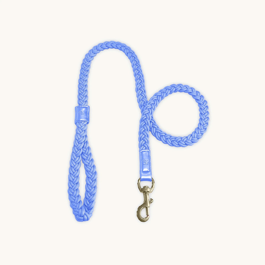 HGP Dog Leash Plaited