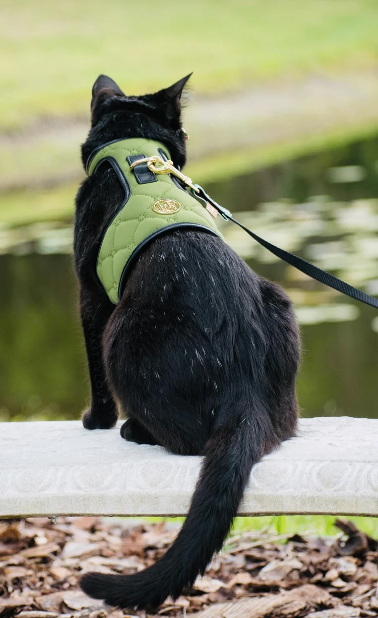 HGP Dog Harness