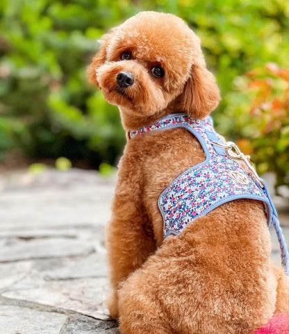 HGP Dog Harness-The Periwinkle