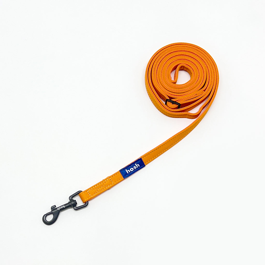 hosh Primary Leash