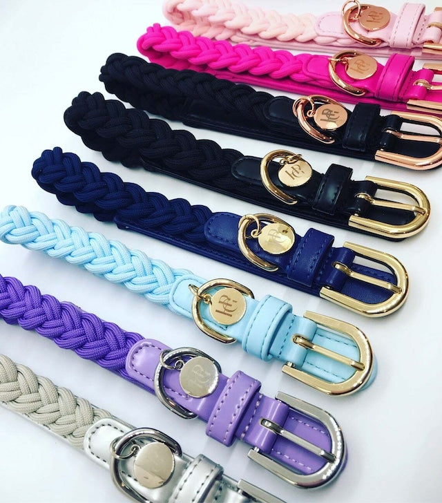 HGP Dog Collar Plaited
