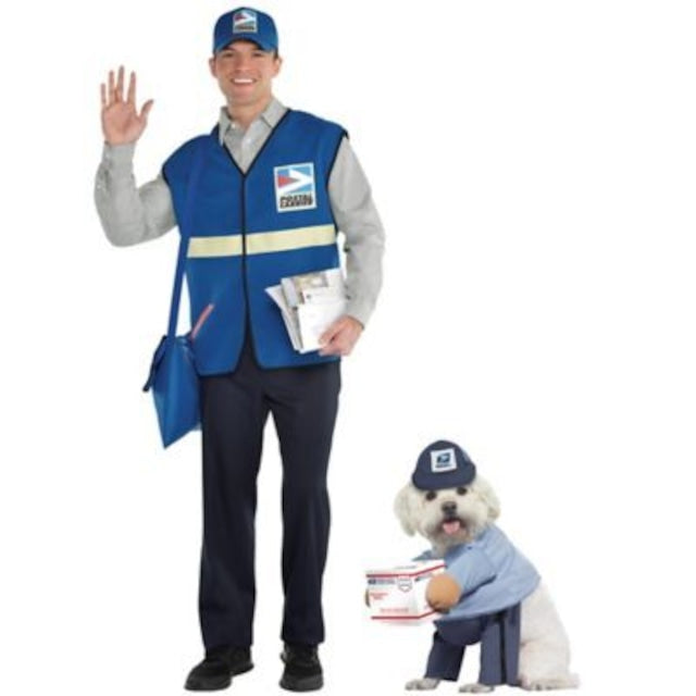 USPS Delivery Dog Costume