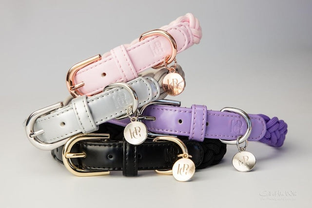 HGP Dog Collar Plaited