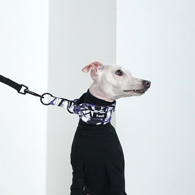 hosh Paint Collar Purple