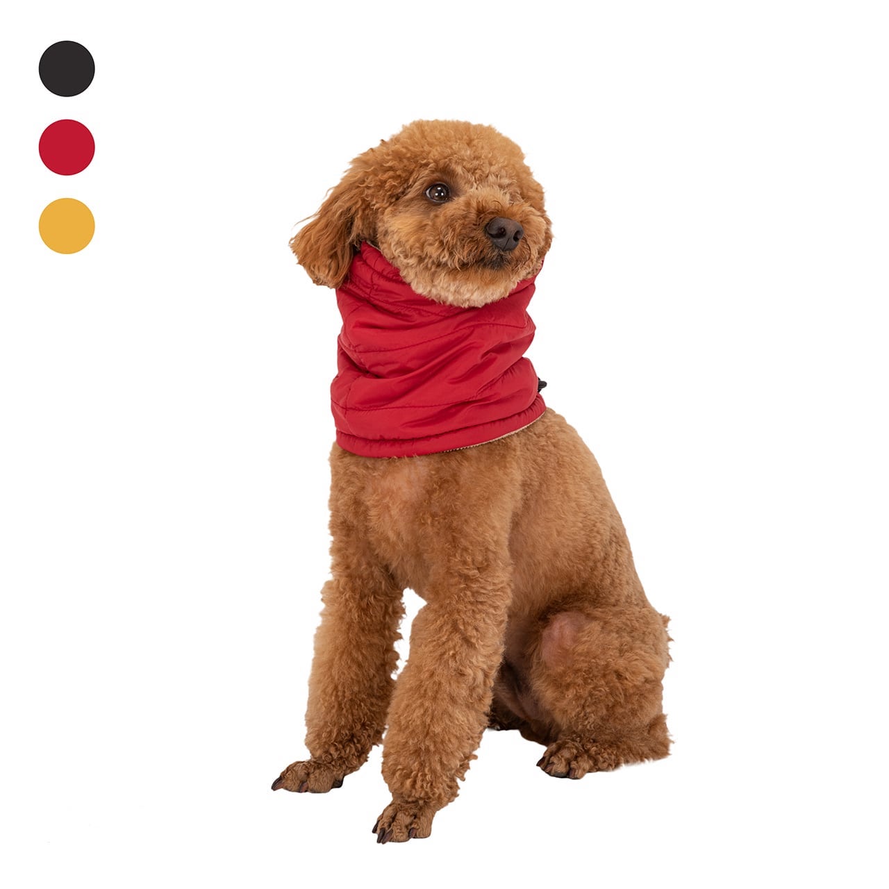 MANDARINE BROTHERS NECK WARMER