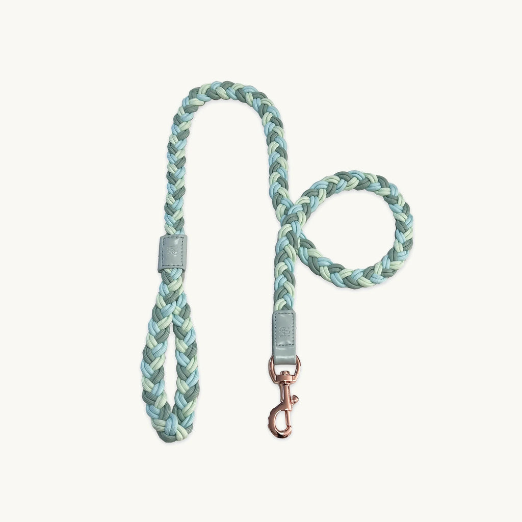 HGP Dog Leash Plaited