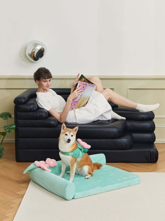 VETRESKA FLORA PET HARNESS BACKPACK WITH LEASH