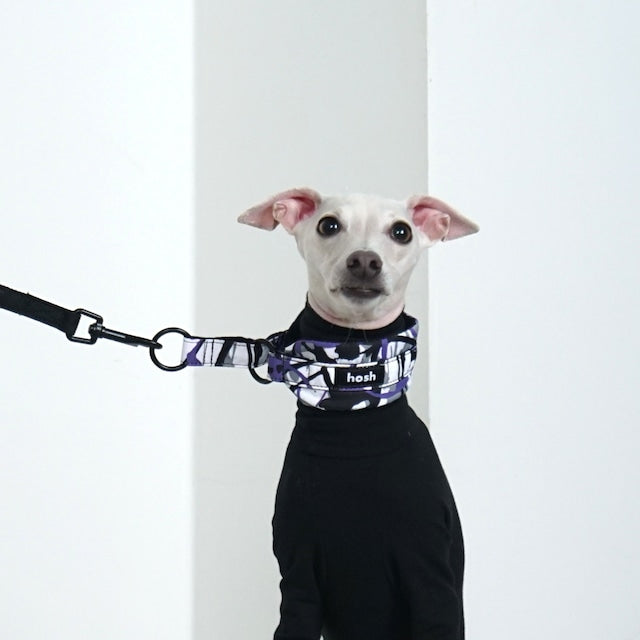 hosh Paint Collar Purple